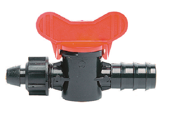 ΒΑΝΑΚΙ ΠΙΠΕΤΑ ΦΙΣ