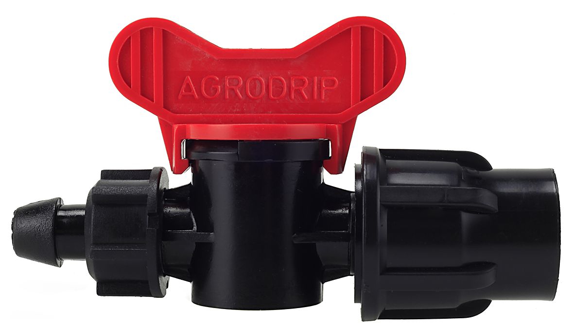 ΒΑΝΑΚΙ ΠΙΠΕΤΑ ΡΑΚΟΡ