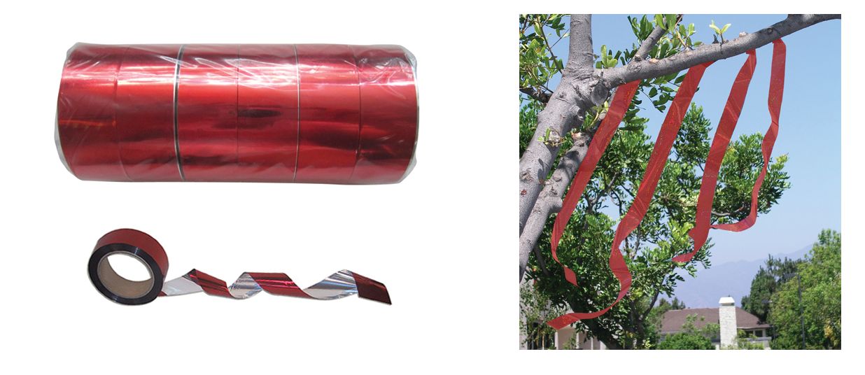 ΤΑΙΝΙΑ ΕΚΦΟΒΙΣΜΟΥ ΠΟΥΛΙΩΝ 100 Μ